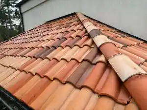schoonmaakbedrijf_haacht_DGC_Softwash_2.jpg