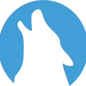 E-wolve Website Ontwikkeling.jpg