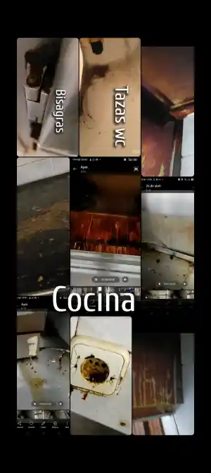 Limpieza cocina establecimiento.jpg