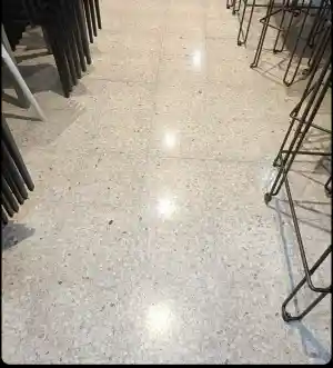 Limpieza a fondo de Suelo muy transitado.jpg