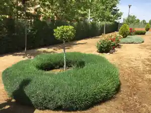 empresa-de-limpieza_merida_ExtreNatura_Medioambiente_S.L_7.jpg