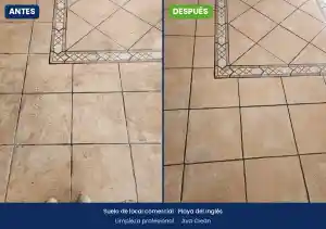empresa-de-limpieza_san-bartolome-de-tirajana_AVA_CLEAN,_SERVICIOS_DE_LIMPIEZA_3.jpg