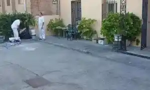 pintor_galapagar_Pinturas_mario_2.jpg