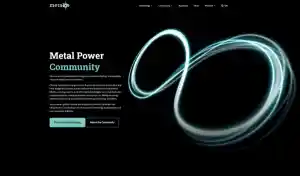 Metalot: Online positionering en website ontwikkeling.jpg
