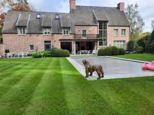 tuinaanleg-en-tuinonderhoud_antwerpen-borgerhout__GREEN_LOVERS_WORKS_7.jpg