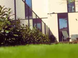 tuinaanleg-en-tuinonderhoud_antwerpen-borgerhout__GREEN_LOVERS_WORKS_5.jpg