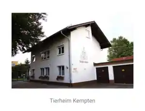 trockenbauer_leutkirch-im-allg%C3%A4u_GUCE_group_7.jpg