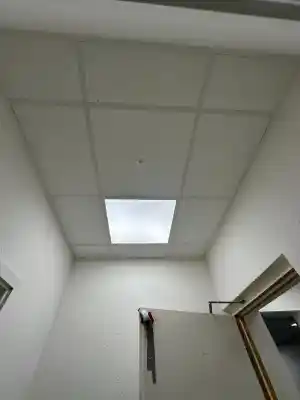 Owa - Rasterdecke.jpg