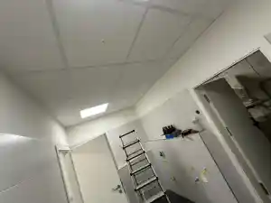 Owa - Rasterdecke.jpg