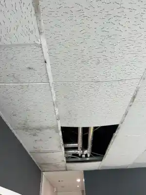 OWA Decke.jpg