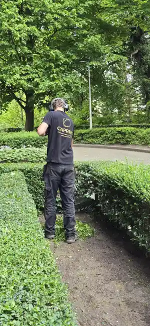 tuinaanleg-en-tuinonderhoud_tessenderlo_Caprino_Tuinonderhoud_5.jpg