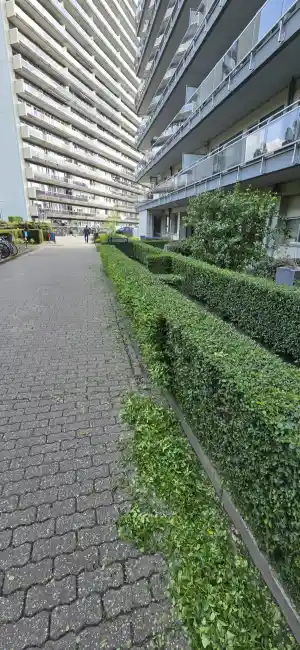 tuinaanleg-en-tuinonderhoud_tessenderlo_Caprino_Tuinonderhoud_4.jpg