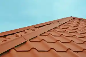 schoorsteenveger_den-bosch_VD_Dakonderhoud_6.jpg