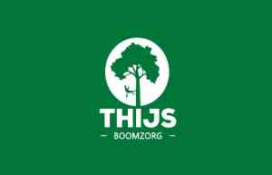 boomverzorging_rosmalen_Thijsboomzorg_2.jpg