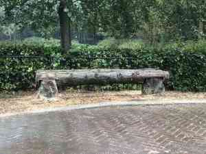 boomverzorging_rosmalen_Thijsboomzorg_6.jpg