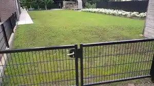 Renovatie gazon.jpg