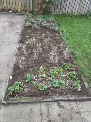 Herinrichting borders .jpg