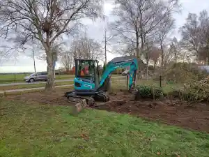 Renovatie borders.jpg