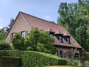 Dakrenovatie + isolatie, 451 rustiek te Puurs 07/2025.jpg