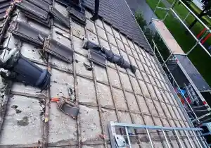 boomverzorging_maastricht_Multisolutionsnederland__4.jpg