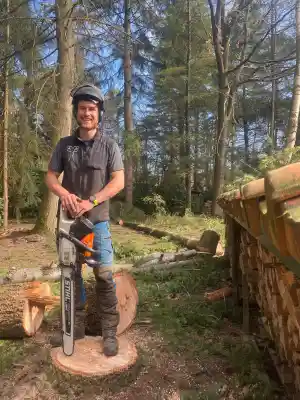 Boomverzorging Branderhorst.jpg