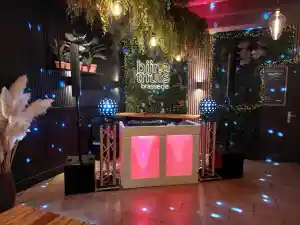 dj_nijmegen_Partyfriend_DJ_Show_4.jpg