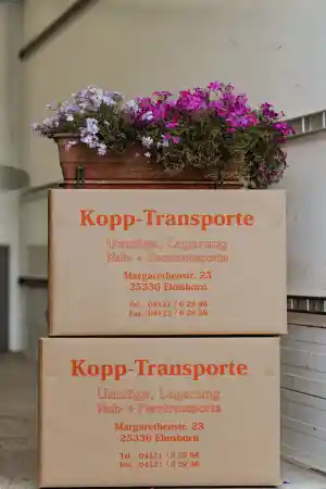 entrumpelung_elmshorn_Kopp-Transporte_6.jpg