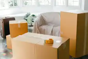 umzugsunternehmen_gro%C3%9Fbardau_Fa._Avex_Umzüge_&_Transporte_7.jpg