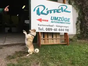 hausmeisterservice_unterhaching_Ritter_Umzugsspedition_2.jpg