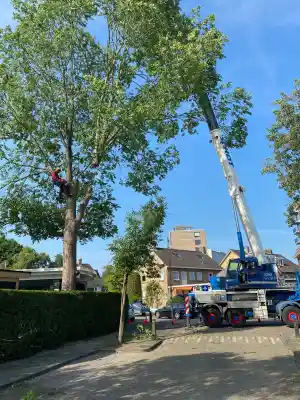 Iep hijsen in Leeuwarden.jpg