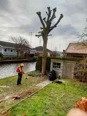 hovenier_kollumerzwaag_Viridis_Mundis_7.jpg