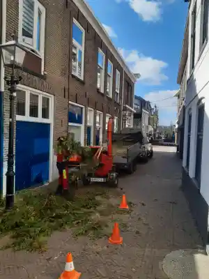 Conifeer verwijderen.jpg