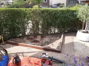 Iep hijsen in Leeuwarden.jpg