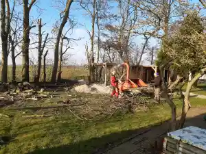 uitgegroeide boomwal toppen.jpg