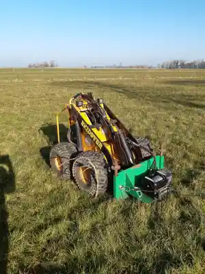 uitgegroeide boomwal toppen.jpg