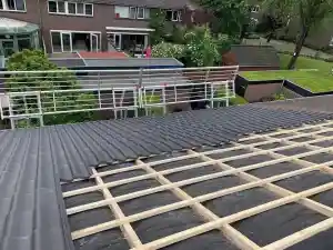 schoorsteenveger_den-bosch_Dak_Actueel_3.jpg