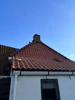 Hellend dak renovatie .jpg