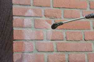 schoonmaakbedrijf_haarlem_Cleaning_Buddies_B.V._3.jpg
