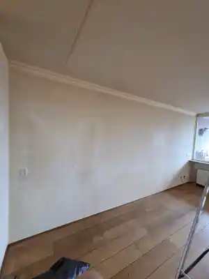 Nicotine reiniging.jpg