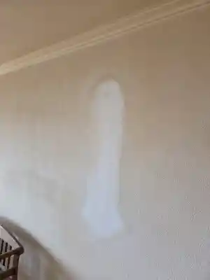 Nicotine reiniging.jpg