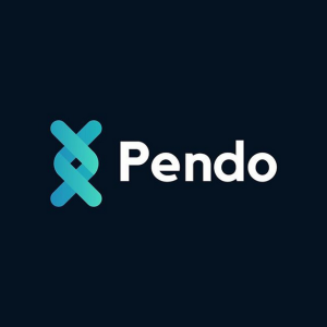 webdesign_maastricht_Pendo._3.jpg