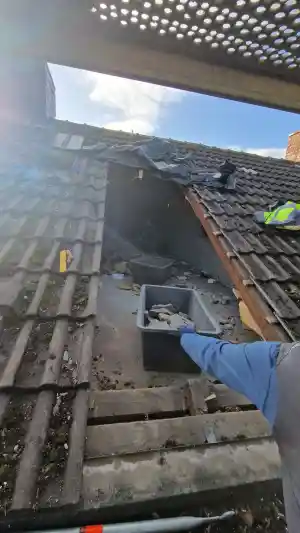 bauunternehmer_erftstadt_KlimoTax_Entrümpelung_Abbrucharbeiten__3.jpg