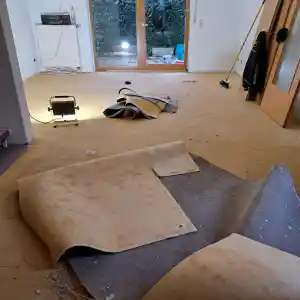 entrumpelung_werdau_Die_Auflöser_Haushaltsaufloesung_Franke_(R)_6.jpg