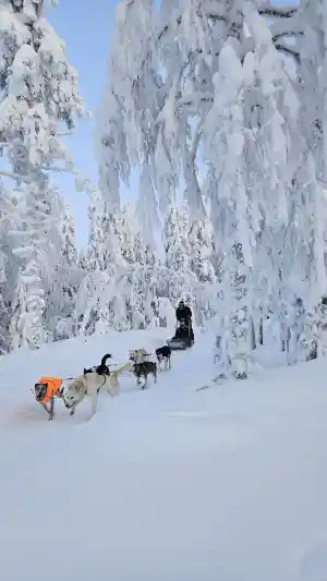 reisbureau_gent_Sisutrek_-_Finland_specialist_7.jpg