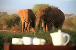 reisbureau_sint-martens-latem_Atelier_Africa_Safaris_5.jpg