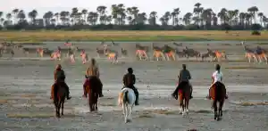 reisbureau_sint-martens-latem_Atelier_Africa_Safaris_2.jpg