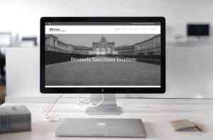 webdesign_gent-wondelgem_Digital_Lions_5.jpg