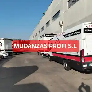 MUDANZAS PROFESIONALES PROFI.jpg