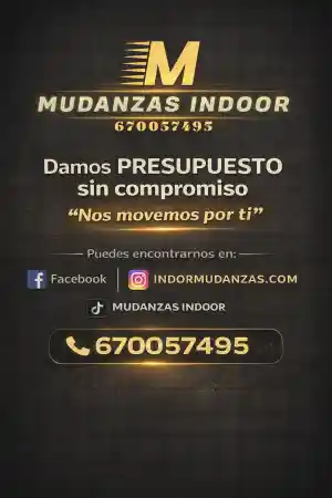 Mudanzas indor .jpg