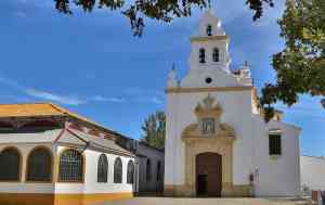 empresa-de-mudanza_malaga_Mudanzas_en_Malaga_y_Guardamuebles_La_Seda_7.jpg